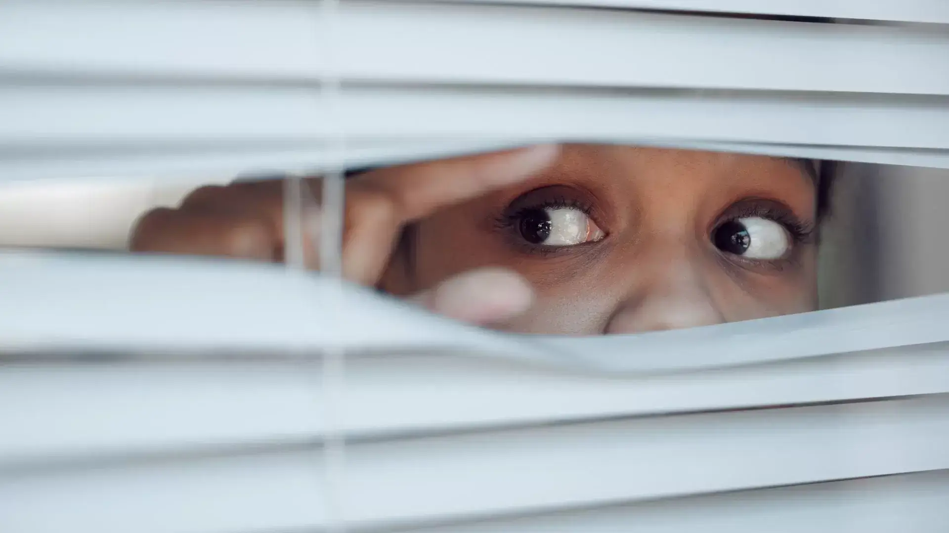 Paranoid Personality Disorder