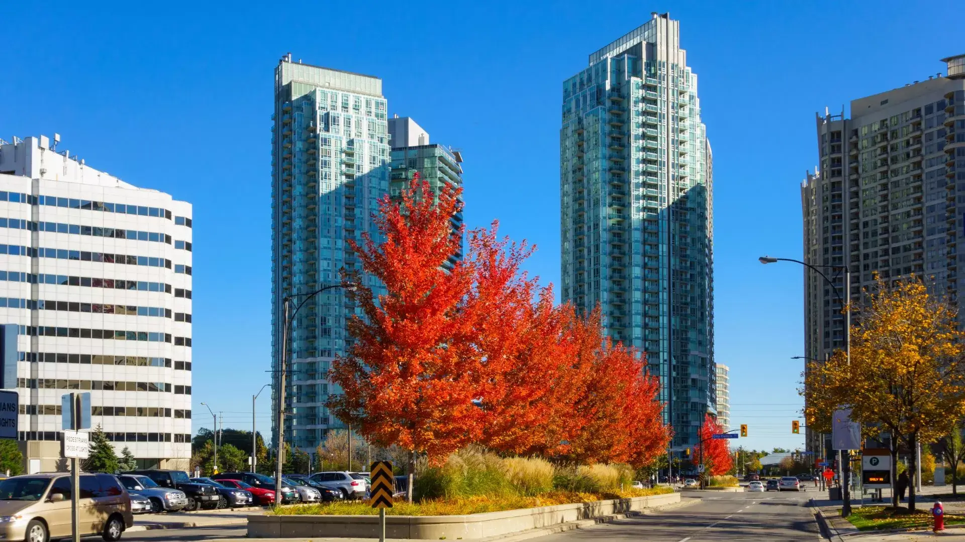 About Mississauga